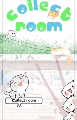 -C- COLLECT ROOM