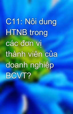 C11: Nôi dung HTNB trong các đơn vị thành viên của doanh nghiệp BCVT?