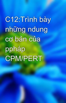 C12:Trình bày những ndung cơ bản của ppháp CPM/PERT