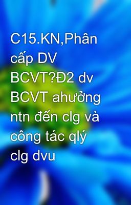 C15.KN,Phân cấp DV BCVT?Đ2 dv BCVT ahưởng ntn đến clg và công tác qlý clg dvu