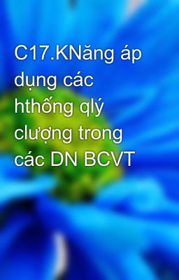 C17.KNăng áp dụng các hthống qlý clượng trong các DN BCVT