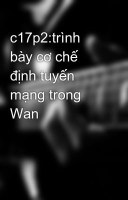 c17p2:trình bày cơ chế định tuyến mạng trong Wan