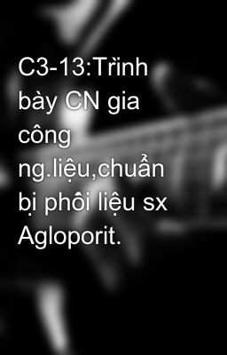 C3-13:Trình bày CN gia công ng.liệu,chuẩn bị phối liệu sx Agloporit.