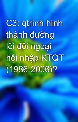 C3: qtrình hình thành đường lối đối ngoại hội nhập KTQT (1986-2006)?