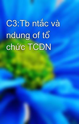 C3:Tb ntắc và ndung of tổ chức TCDN