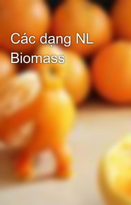 Các dạng NL Biomass