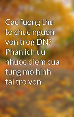 Cac fuong thu to chuc nguon von trog DN? Phan ich uu nhuoc diem cua tung mo hinh tai tro von.