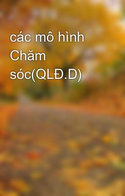 các mô hình Chăm sóc(QLĐ.D)