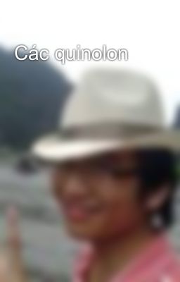 Các quinolon