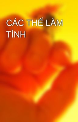 CÁC THẾ LÀM TÌNH