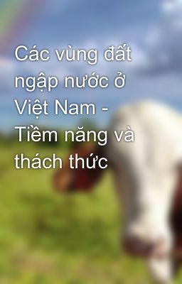 Các vùng đất ngập nước ở Việt Nam - Tiềm năng và thách thức