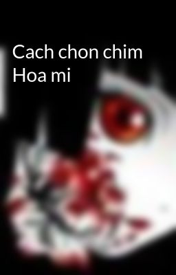 Cach chon chim Hoa mi