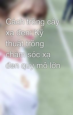 Cách trồng cây xạ đen: Kỹ thuật trồng chăm sóc xạ đen quy mô lớn