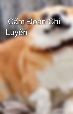  Cấm Đoán Chi Luyến