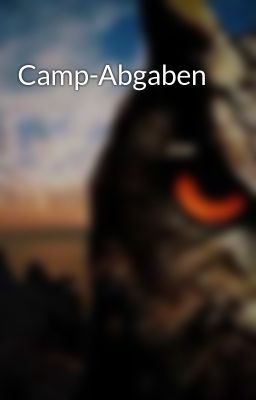 Camp-Abgaben