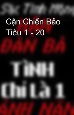 Cận Chiến Bảo Tiêu 1 - 20