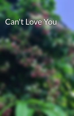 Can't Love You
