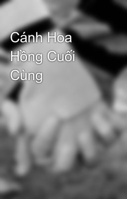 Cánh Hoa Hồng Cuối Cùng