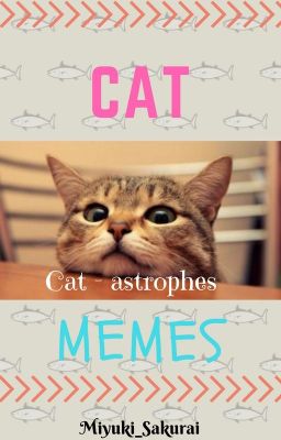 CAT-ASTROPHES! [CAT MEMES] ^^