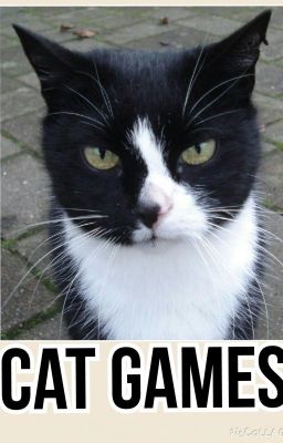 Cat Games *DISCONTINUED*