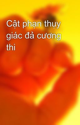 Cật phạn thụy giác đả cương thi