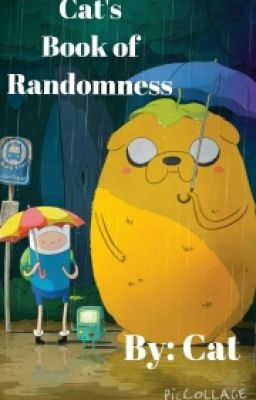 Cat's Book of Randomness