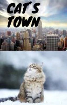 Cat's town game