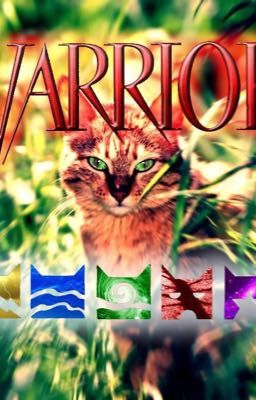  Cat Warriors: Forest's Divided: Dawn to Dusk (book 1)