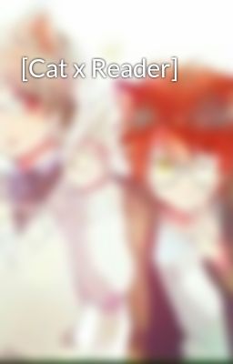  [Cat x Reader] 