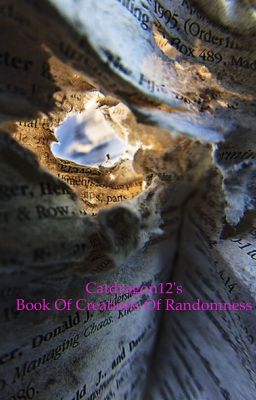 Catdragon12's Book Of Creations of Randomness 