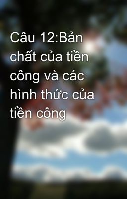 Câu 12:Bản chất của tiền công và các hình thức của tiền công