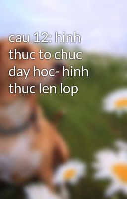 cau 12: hinh thuc to chuc day hoc- hinh thuc len lop