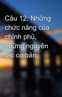 Câu 12: Những chức năng của chính phủ, những nguyên tắc cơ bản