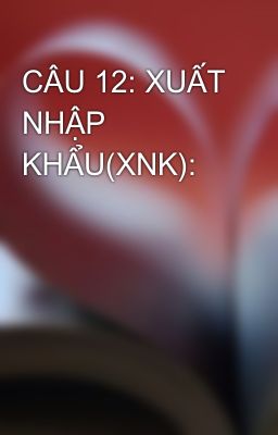 CÂU 12: XUẤT NHẬP KHẨU(XNK):