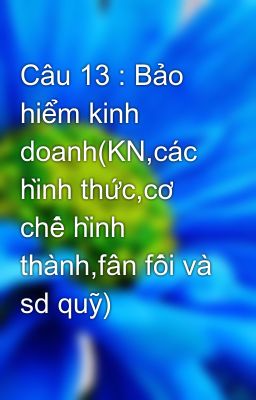 Câu 13 : Bảo hiểm kinh doanh(KN,các hình thức,cơ chế hình thành,fân fối và sd quỹ)