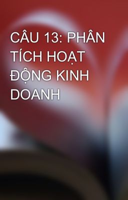 CÂU 13: PHÂN TÍCH HOẠT ĐỘNG KINH DOANH