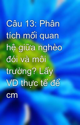 Câu 13: Phân tích mối quan hệ giữa nghèo đói và môi trường? Lấy VD thực tế để cm