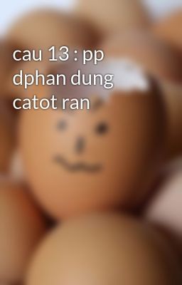 cau 13 : pp dphan dung catot ran