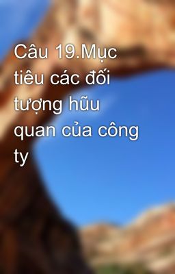 Câu 19.Mục tiêu các đối tượng hũu quan của công ty