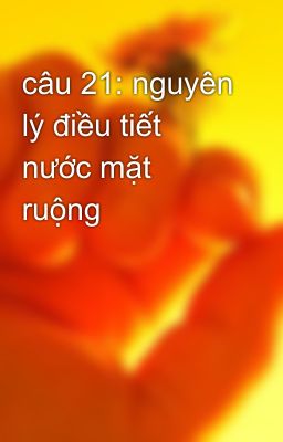 câu 21: nguyên lý điều tiết nước mặt ruộng