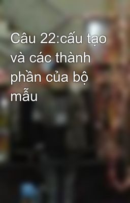 Câu 22:cấu tạo và các thành phần của bộ mẫu