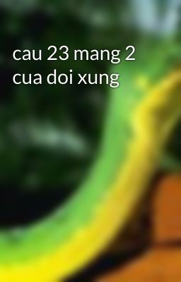 cau 23 mang 2 cua doi xung