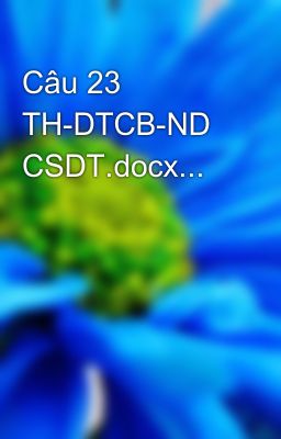 Câu 23 TH-DTCB-ND CSDT.docx...