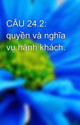 CÂU 24.2: quyền và nghĩa vụ hành khách.