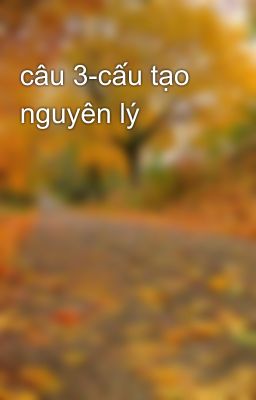 câu 3-cấu tạo nguyên lý