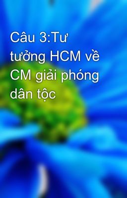 Câu 3:Tư tưởng HCM về CM giải phóng dân tộc
