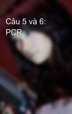 Câu 5 và 6:  PCR