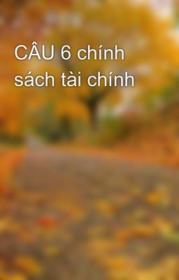 CÂU 6 chính sách tài chính