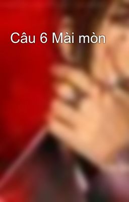 Câu 6 Mài mòn