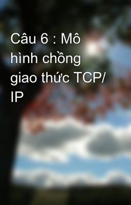 Câu 6 : Mô hình chồng giao thức TCP/ IP